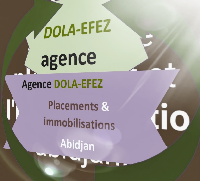 agence DOLA-EFEZ de placements & immobilisations abidjan